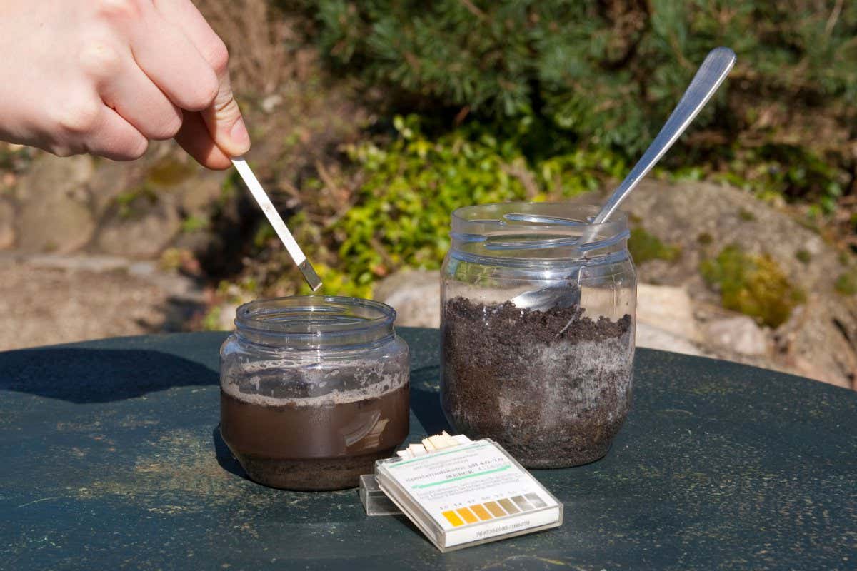CNW7E8 ph value of a sample of the soil ist tested with litmus paper, Germany