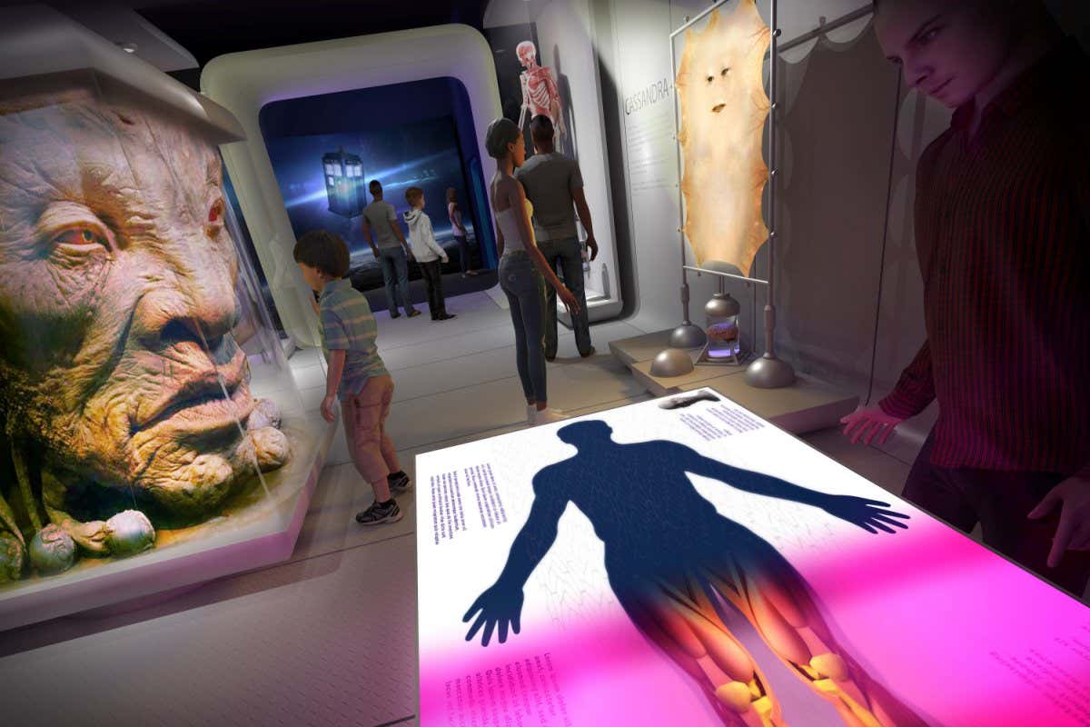 Concept drawing may not reflect final content. Image by Sarner International courtesy of National Museums Liverpool