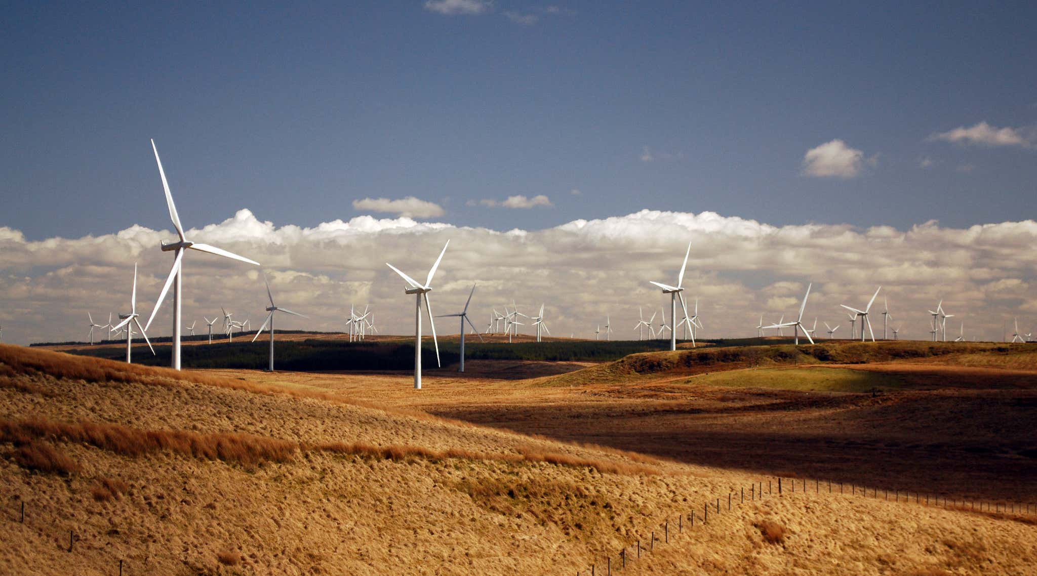 New Scientist. Science news and long reads from expert journalists, covering developments in science, technology, health and the environment on the website and the magazine.