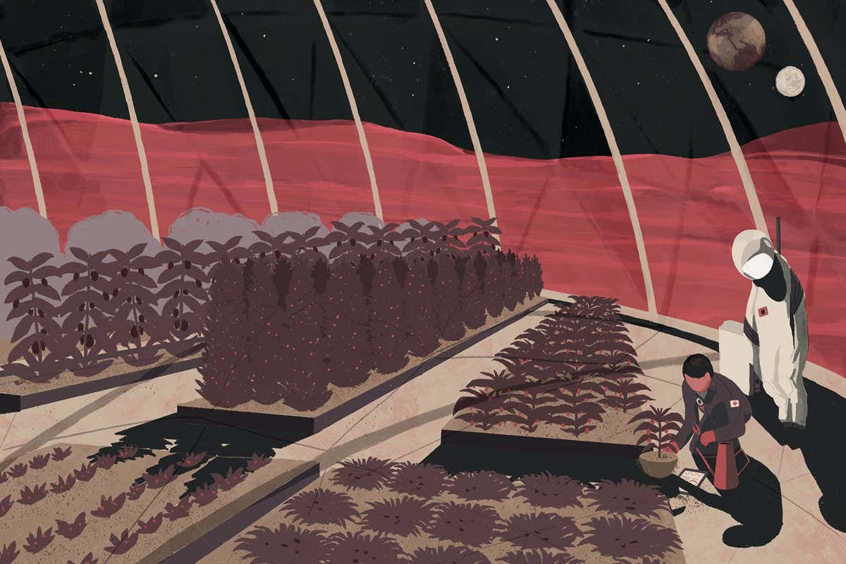 New Scientist. Science news and long reads from expert journalists, covering developments in science, technology, health and the environment on the website and the magazine.