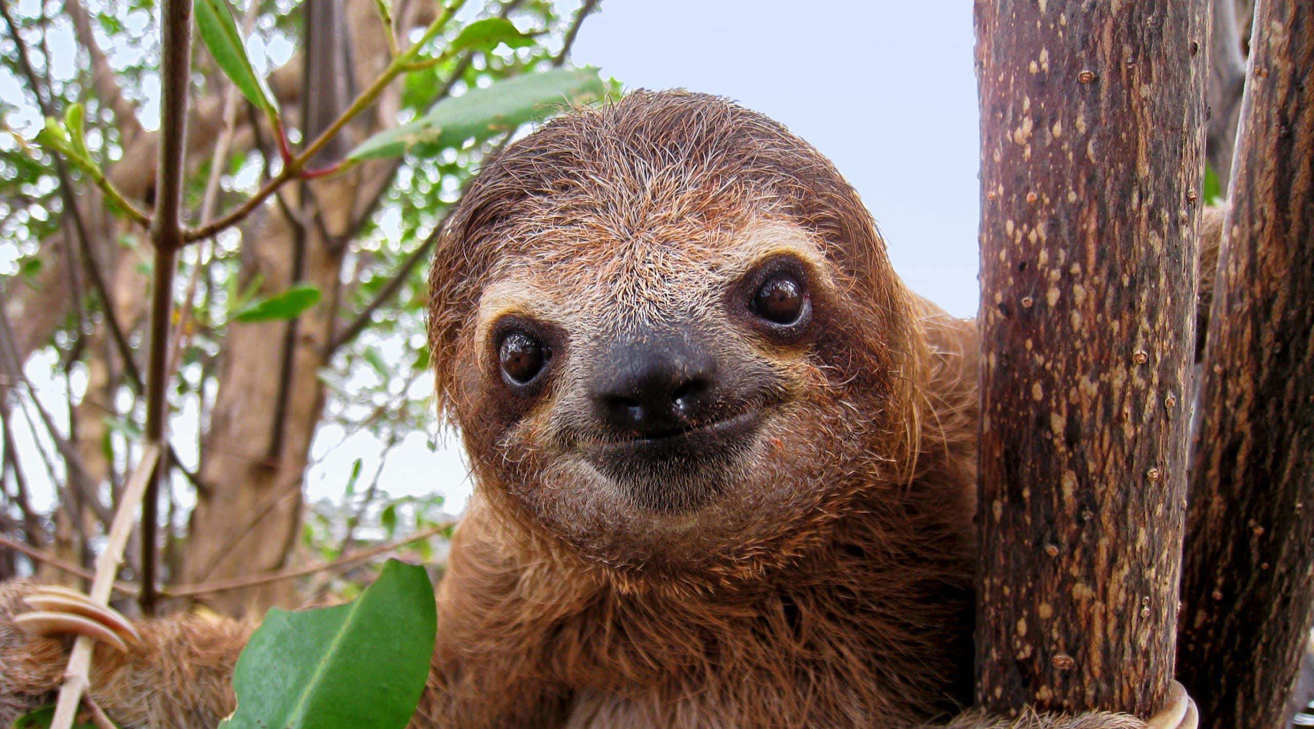 New Scientist. Science news and long reads from expert journalists, covering developments in science, technology, health and the environment on the website and the magazine.