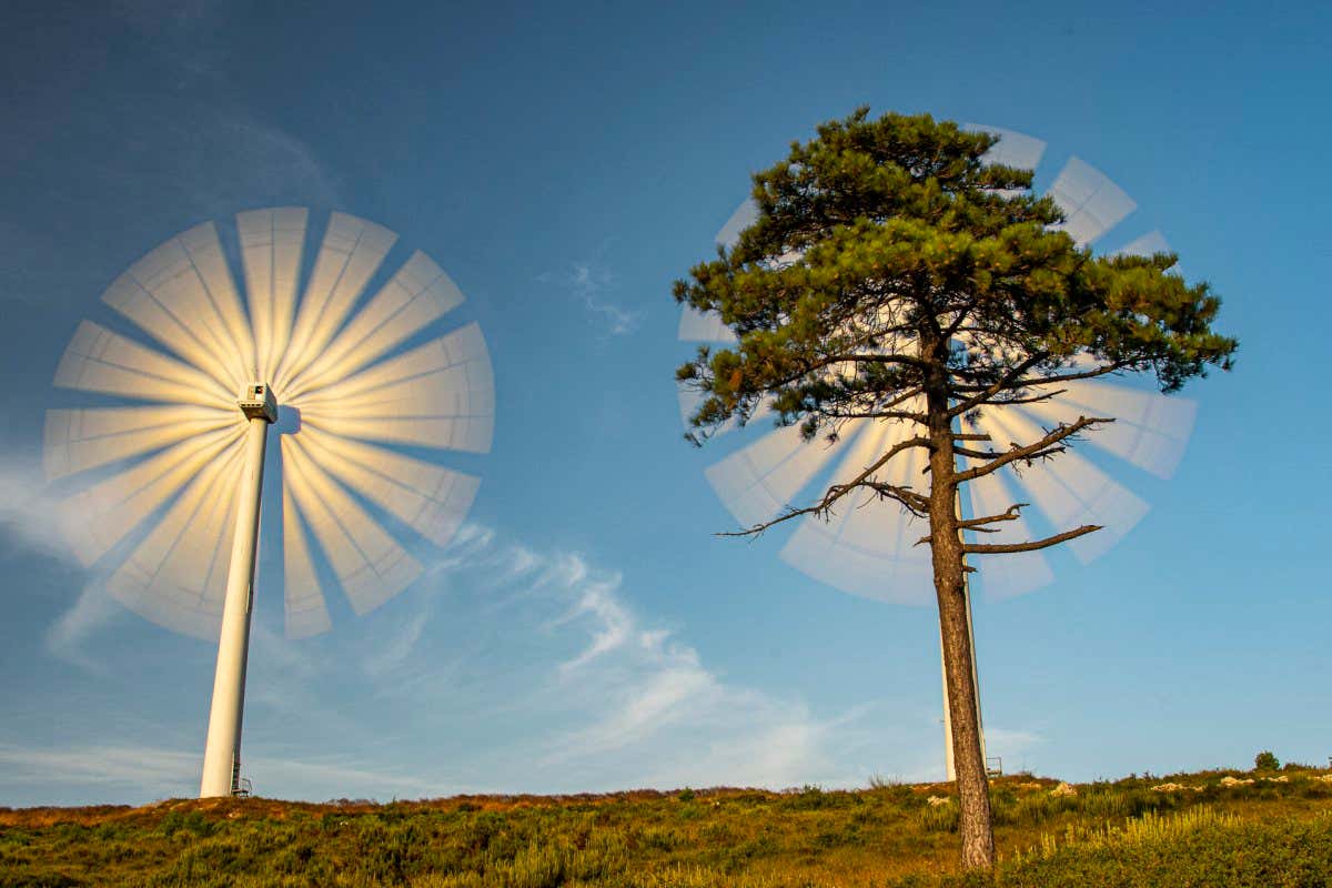 ROBERTO BUENO, WIND ENERGY AND TREES: ALLIED AGAINST CLIMATE CHANGE, 2020. Shortlisted for Earth Photo 2022.