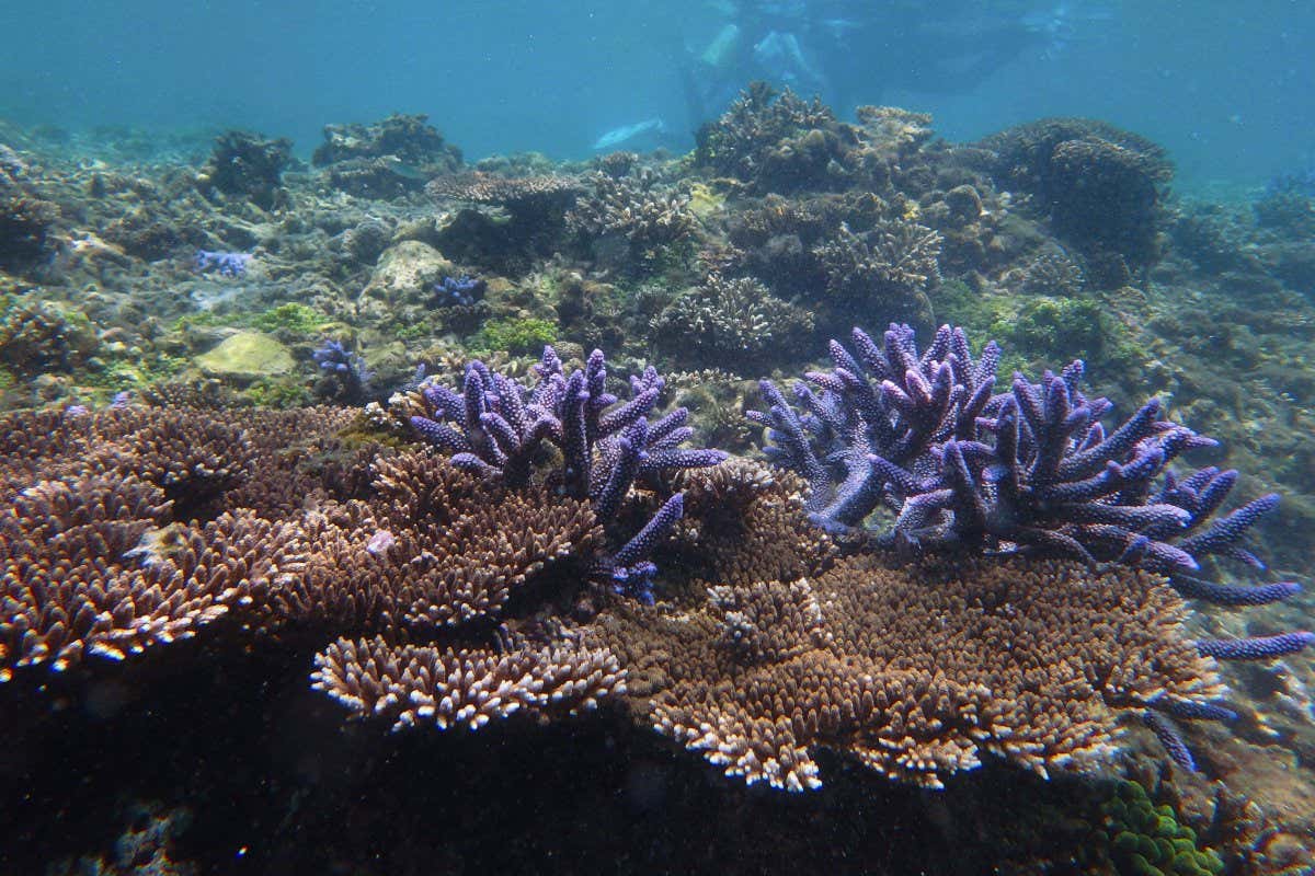 2E2GFFW Travel in Taiwan