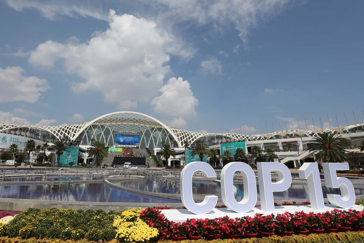 Kunming in China, where COP15 is due to take place