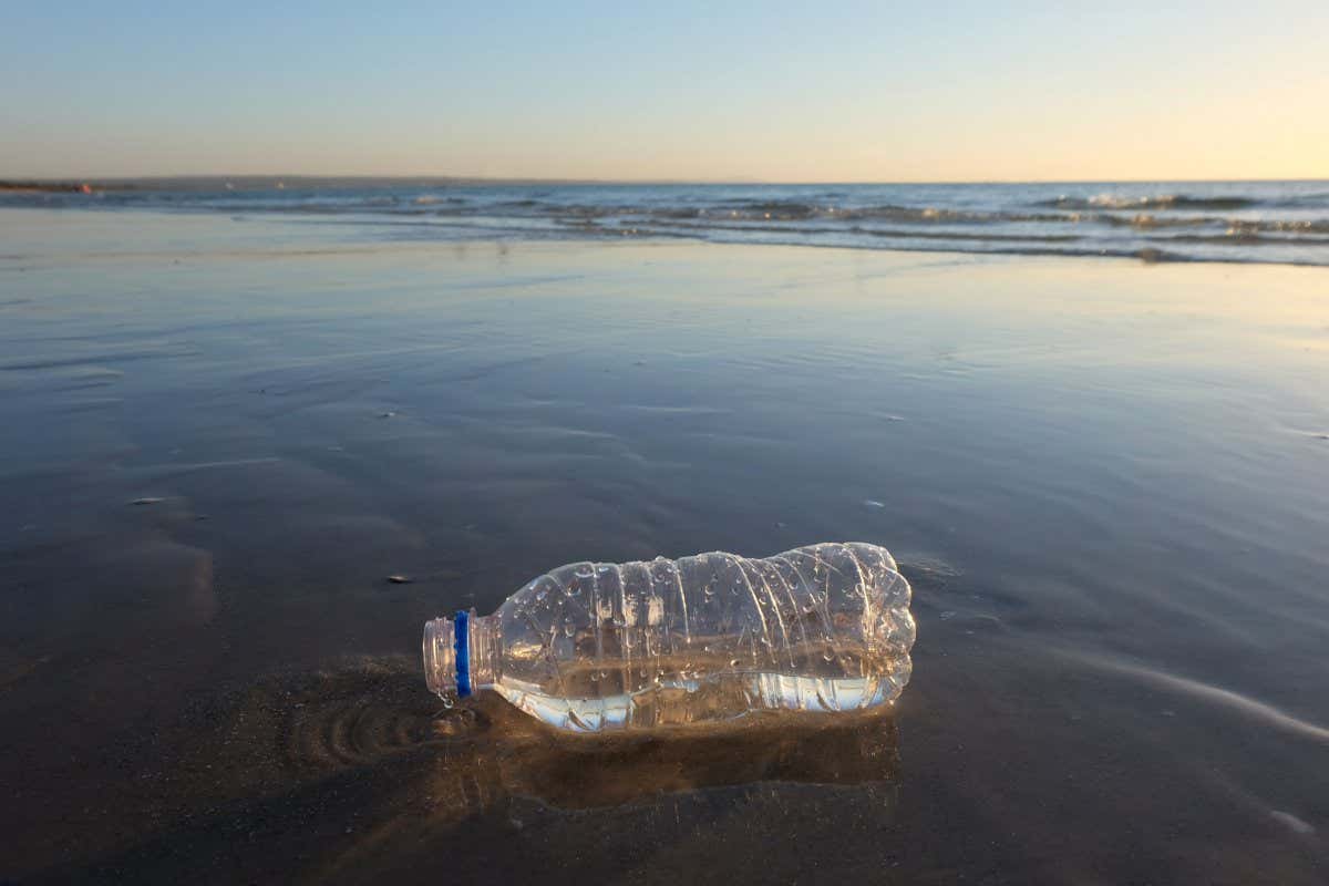 A plastic bottle littering a beach in Melbourne, Australia. Sunset and horizon line in the background.