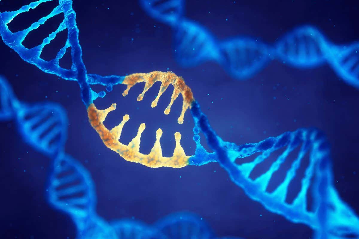 Double helix DNA molecule with modified genes , Correcting mutation by genetic engineering , 3d illustration; Shutterstock ID 585361916; purchase_order: -; job: -; client: -; other: -