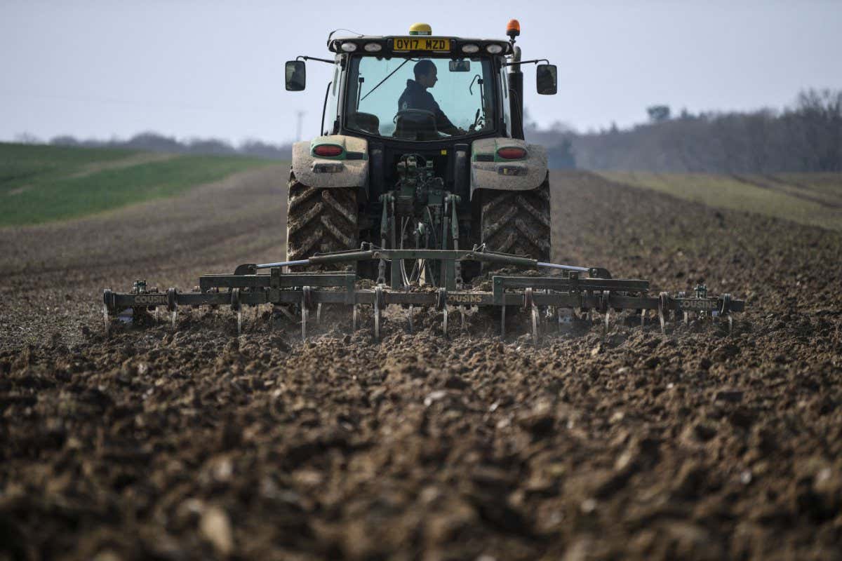 A tractor cultivates the ground for rapeseed oil crops at the Westons Farm, in Itchingfield, south England, on March 28, 2022. - Hungry cows at Westons Farm jostle for position at the feeding trough, blissfully unaware that Ukraine's war has sowed more turmoil for UK farms ploughing through Covid and Brexit fallout. Farms like Westons have therefore become more and more reliant on animal slurry to grow crops and cut costs. (Photo by Daniel LEAL / AFP) (Photo by DANIEL LEAL/AFP via Getty Images)