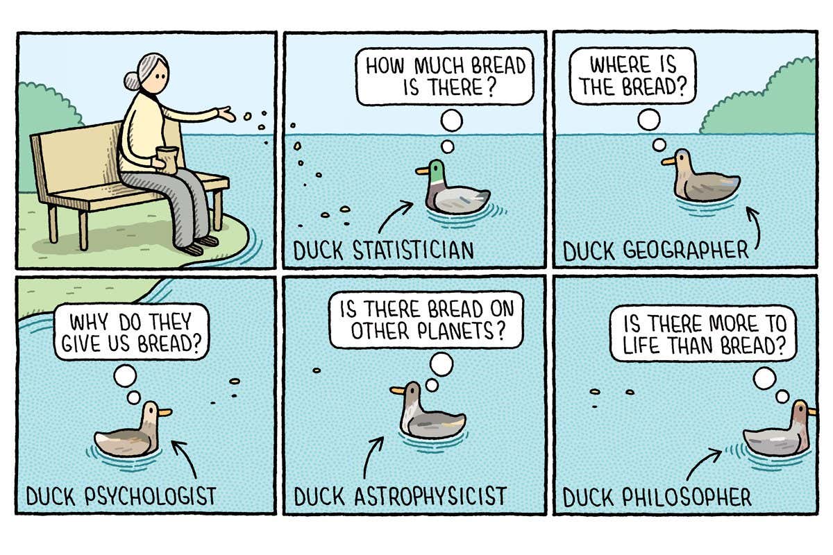 Tom Gauld on the science of ducks