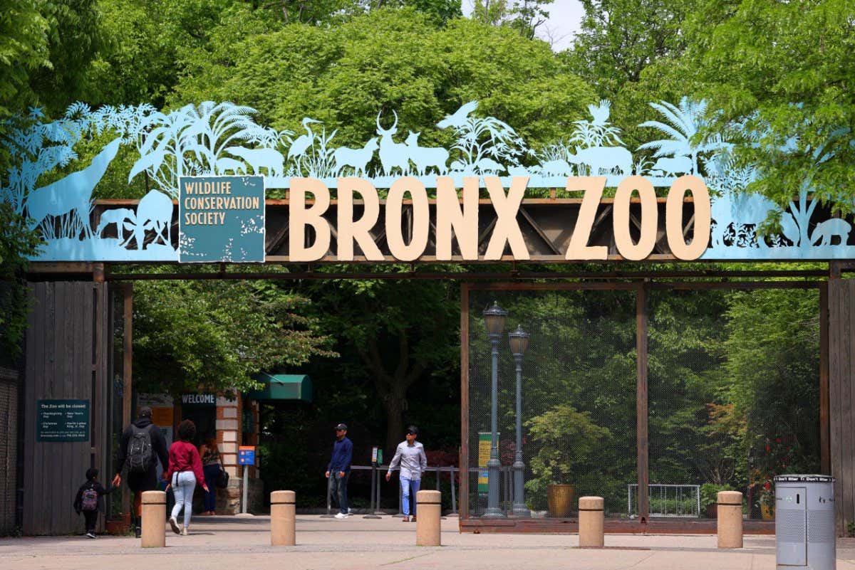 The Bronx Zoo