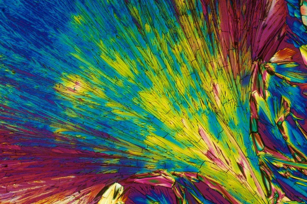 Polarized light micrograph of phenylalanine