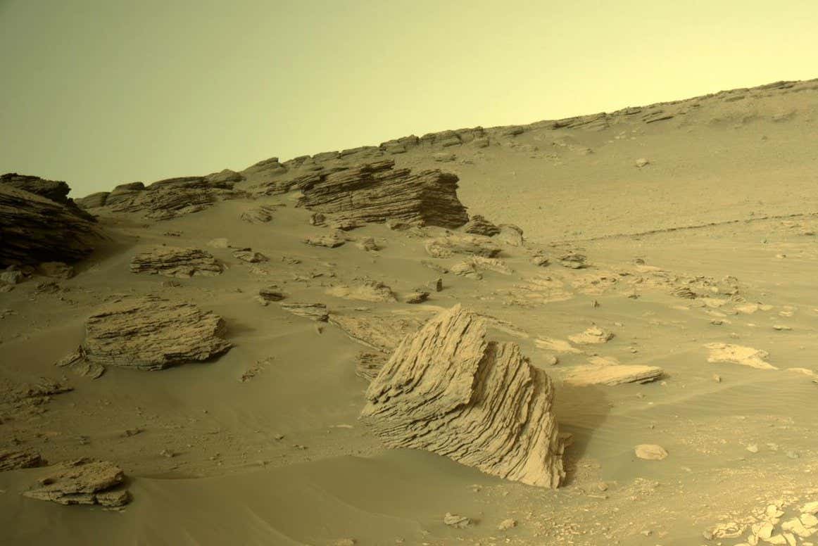 Mars landscape photographed by Perseverance