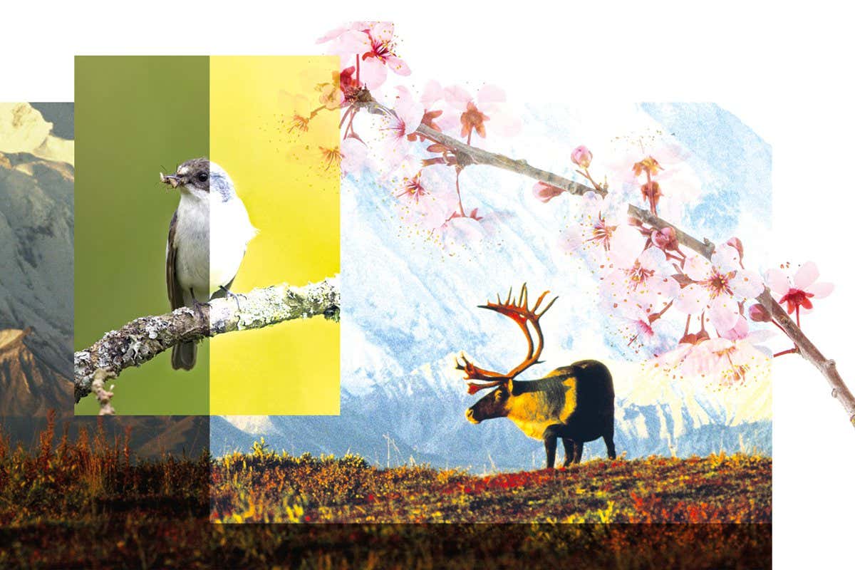 New Scientist. Science news and long reads from expert journalists, covering developments in science, technology, health and the environment on the website and the magazine.