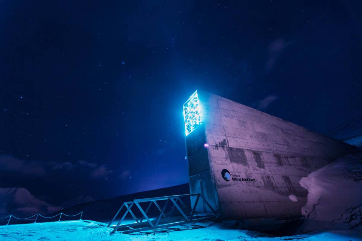 Earth's musical heritage finds an icy home next to global seed vault