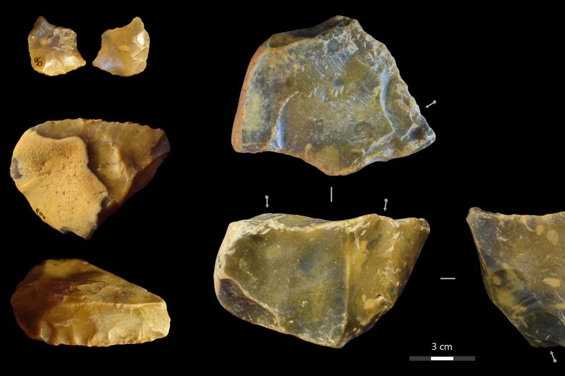 A selection of flint artefacts excavated at the site