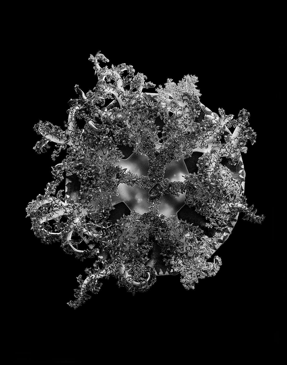 New Scientist. Science news and long reads from expert journalists, covering developments in science, technology, health and the environment on the website and the magazine.