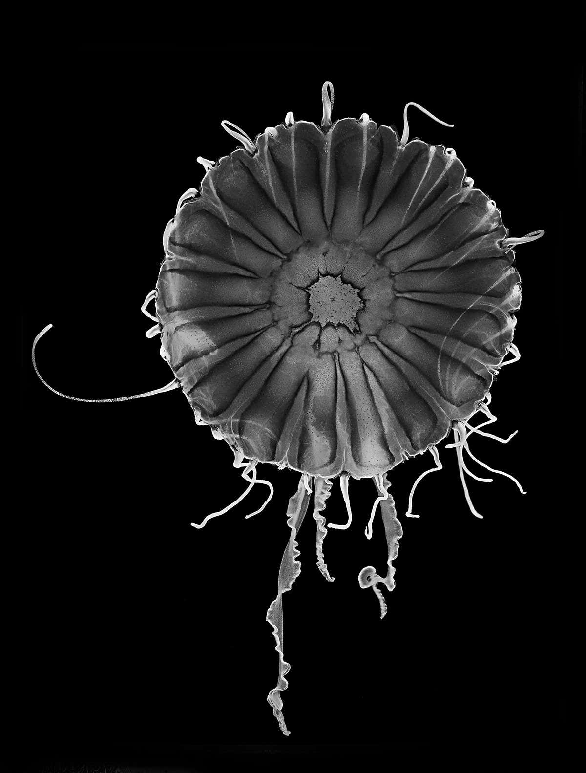 New Scientist. Science news and long reads from expert journalists, covering developments in science, technology, health and the environment on the website and the magazine.