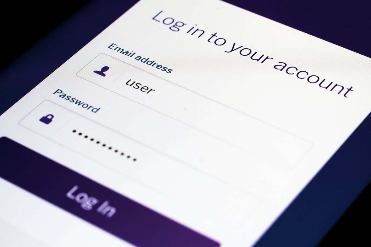 Someone logging into a website