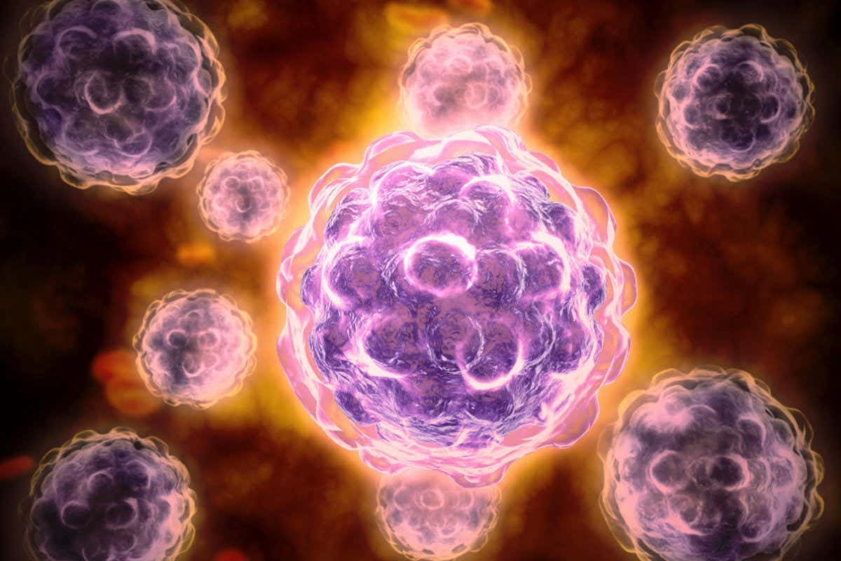 A microscopic view of poliovirus