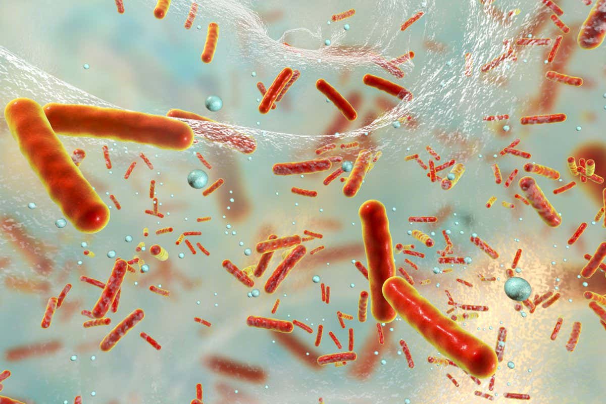 illustration of antibiotic-resistant bacteria