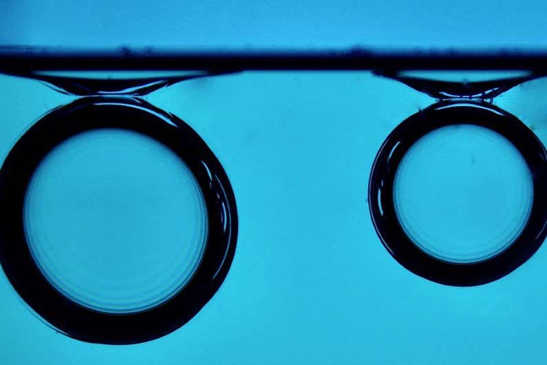 Antibubbles are a blob of liquid with a layer of air surrounding them