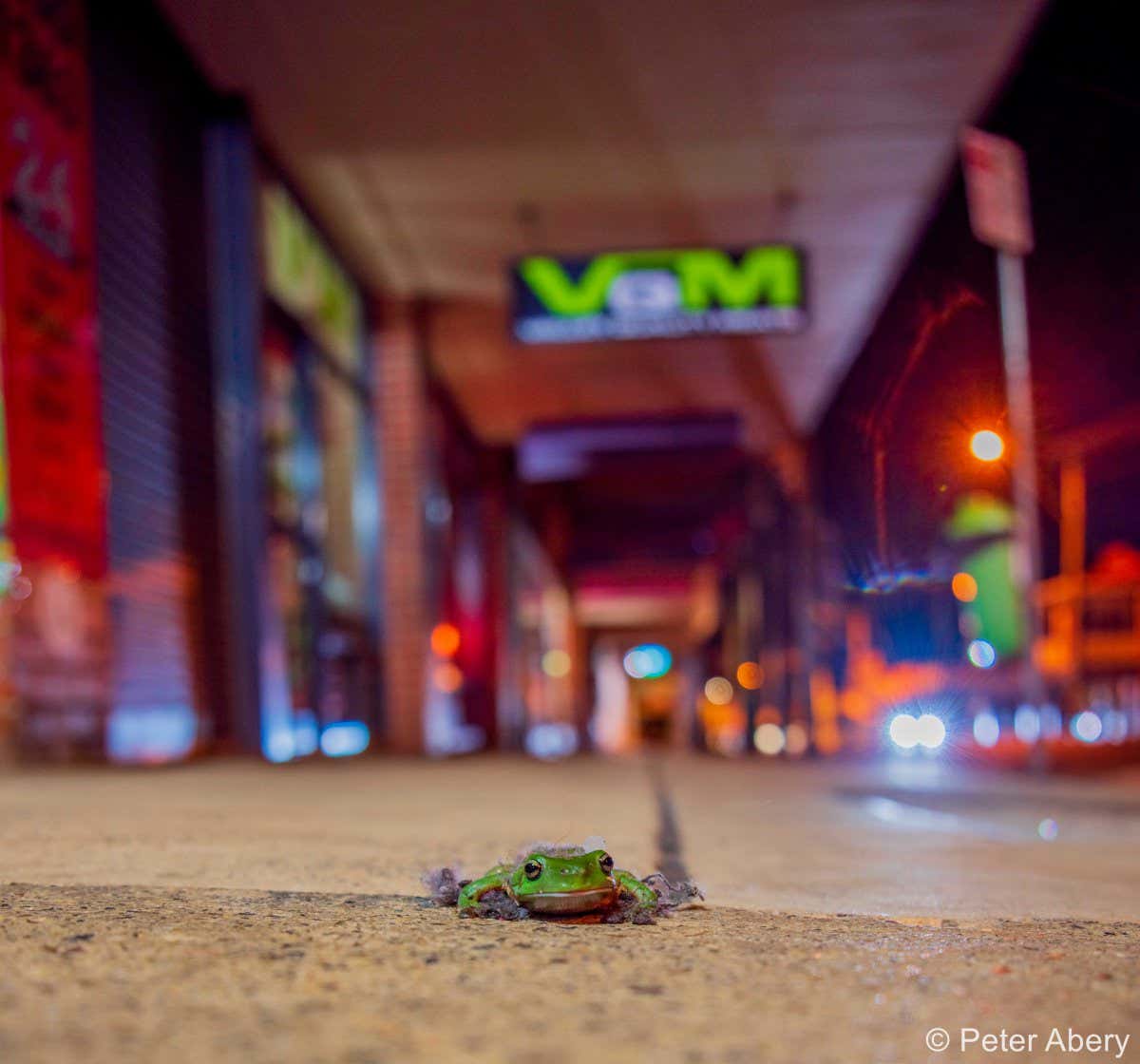 New Scientist. Science news and long reads from expert journalists, covering developments in science, technology, health and the environment on the website and the magazine.