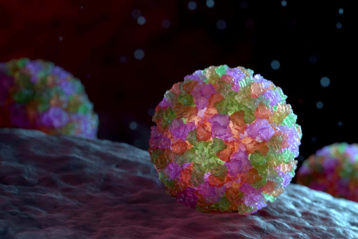 3D graphical representation of a single Norovirus virion