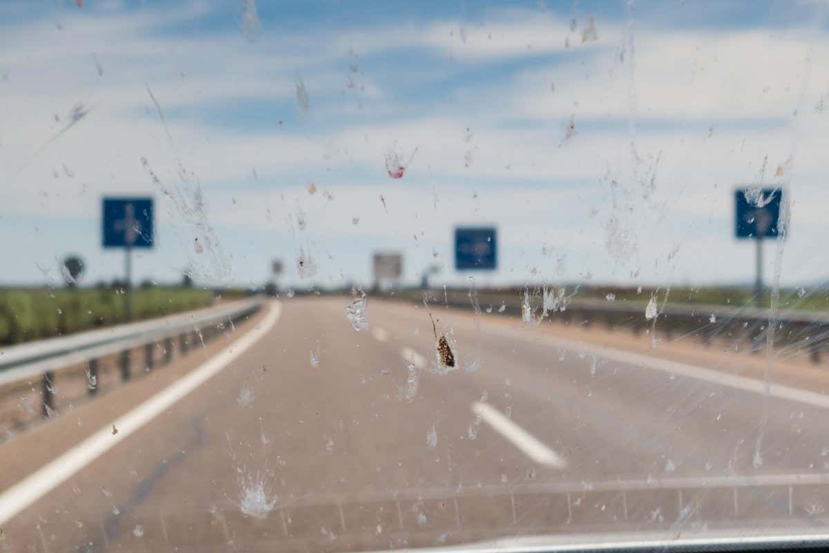 J3TX0E Splattering of dead insects on a car windscreen, windshield whilst driving along a road with signs and road white markings.