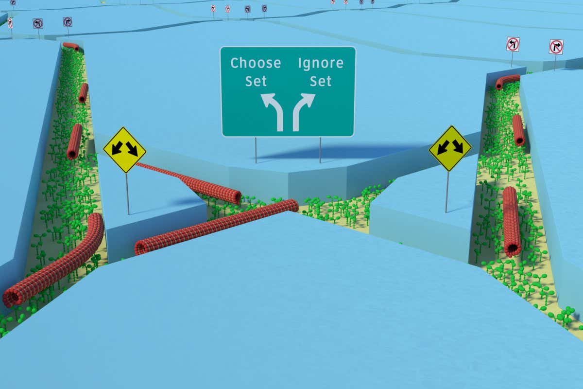Nanosccale channels and molecules moving through them