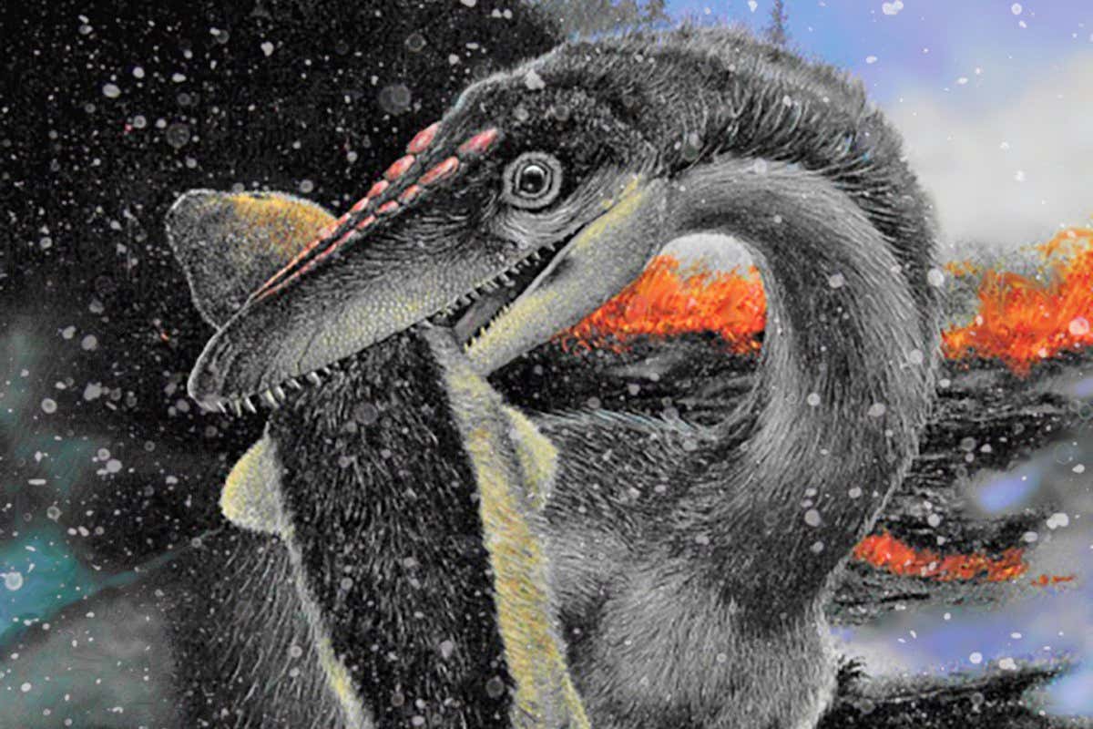 An image of a feathered theropod dinosaur eating a mammal on a cold day