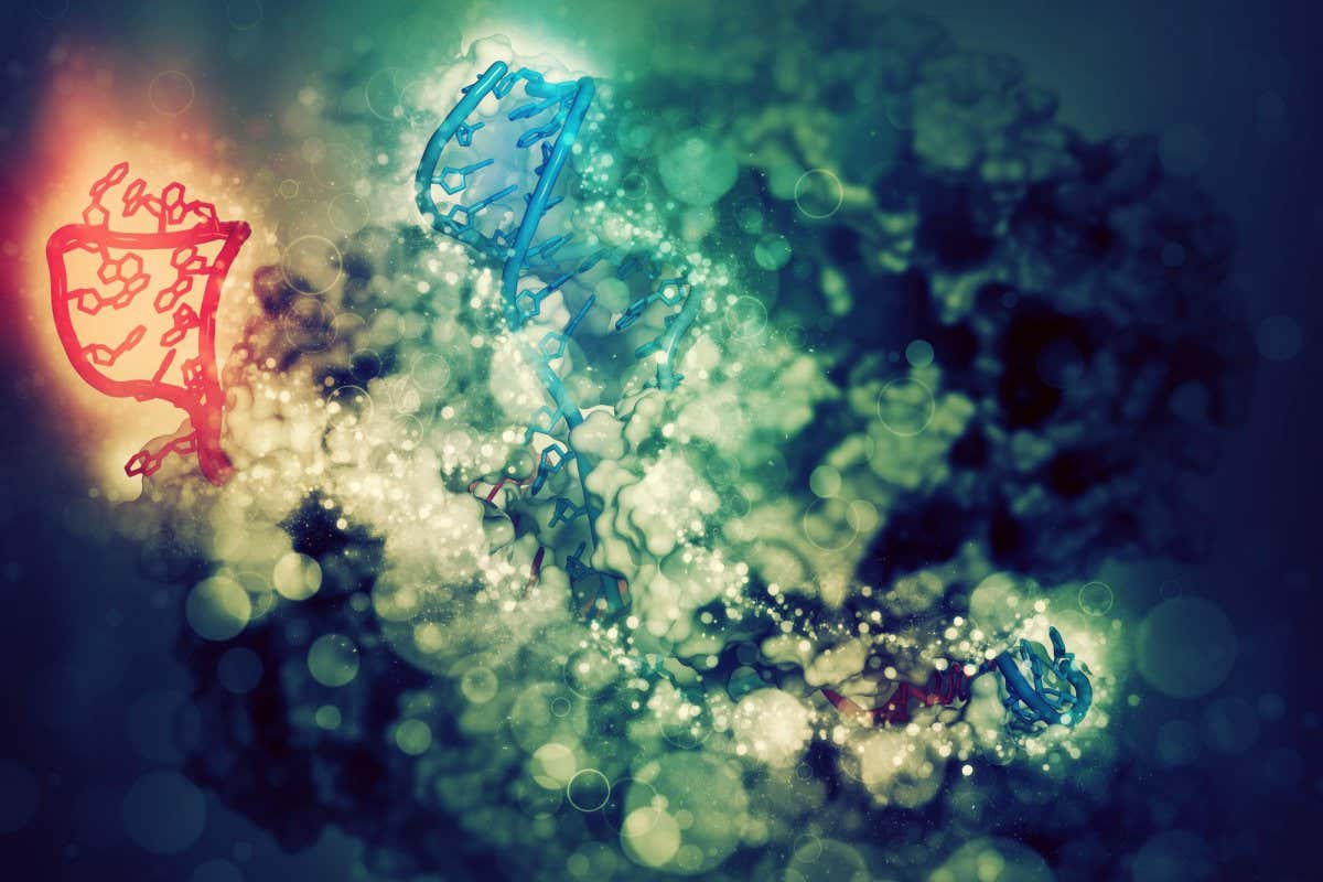 Illustration of the CRISPR-Cas9 gene editing complex