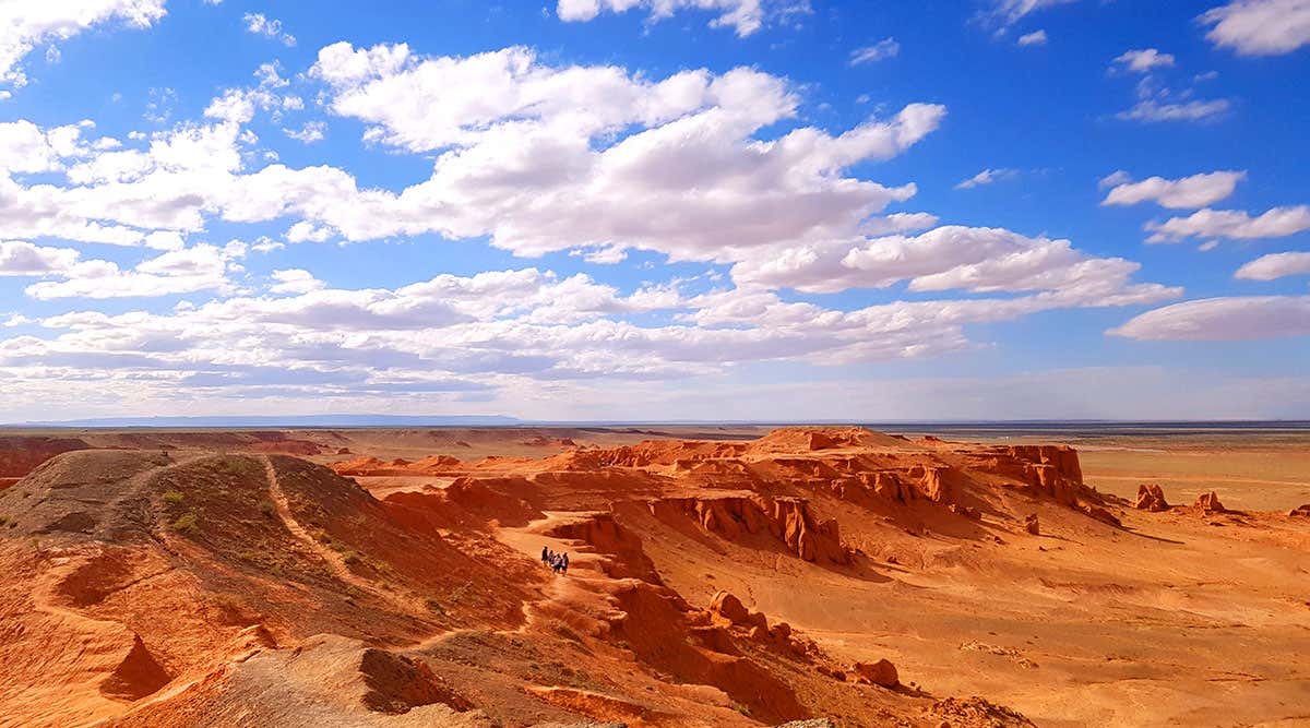 New Scientist. Science news and long reads from expert journalists, covering developments in science, technology, health and the environment on the website and the magazine.