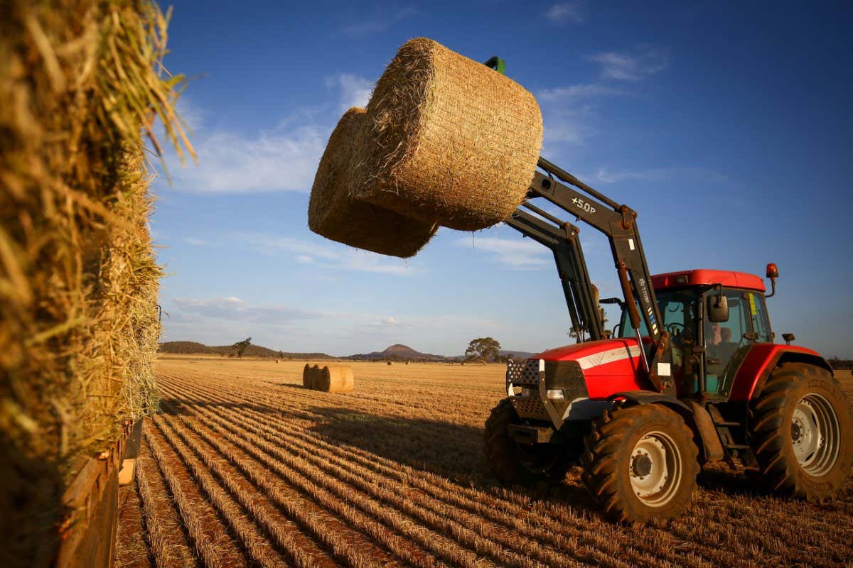 hay being harvested