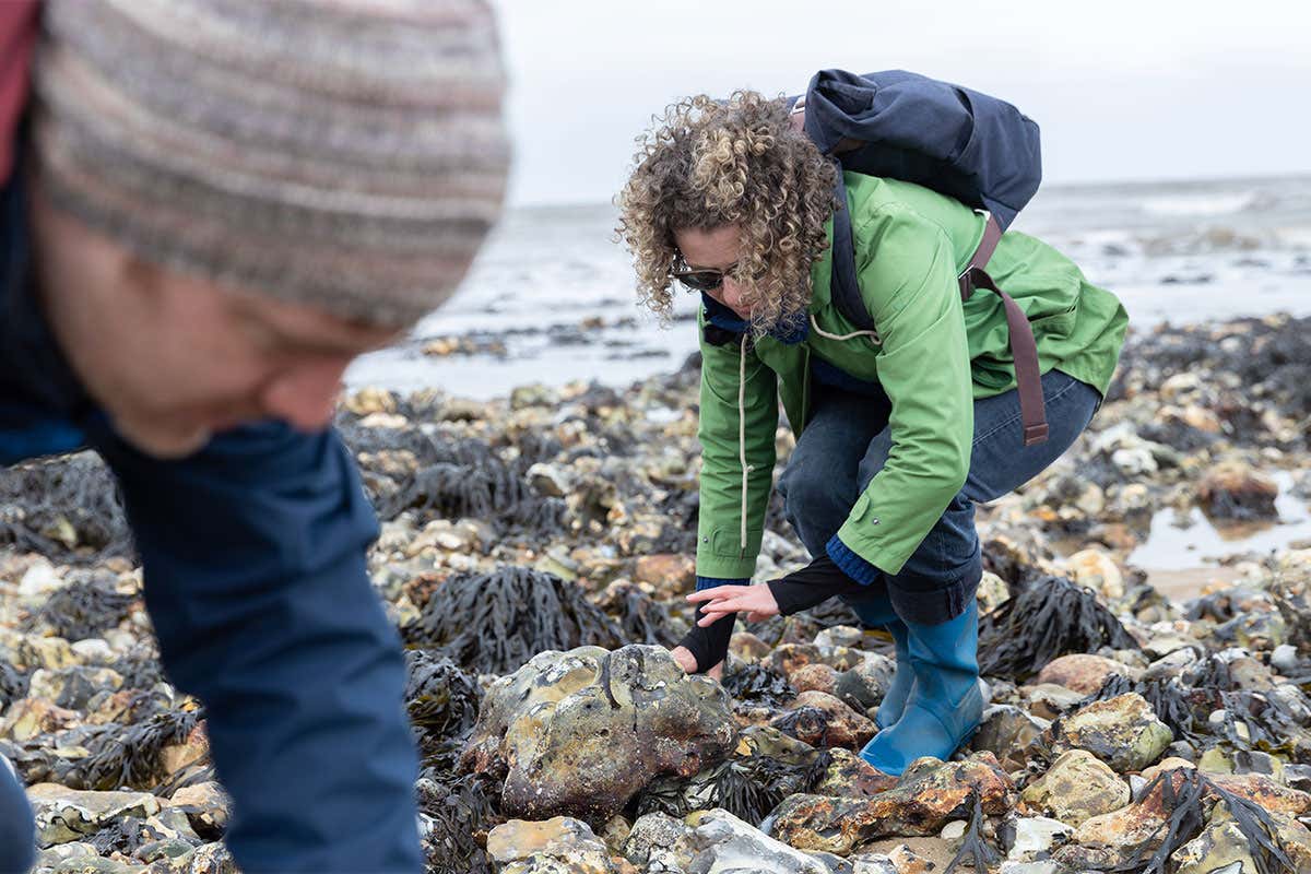 Rock pooling with Helen Scales