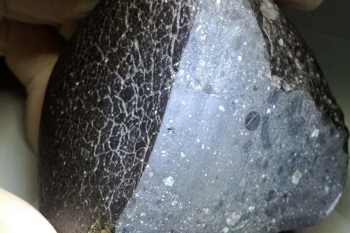 Close-up of black meteorite