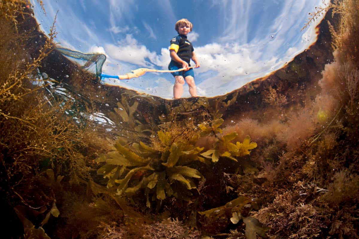 Looking up through water at boy dipping in a rock pool