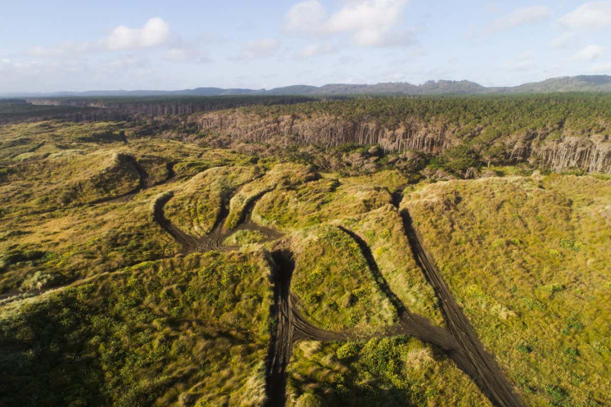 Ariel view of off road tracks near Muriwai Beach, Auckland, New Zealand. Deforestation.