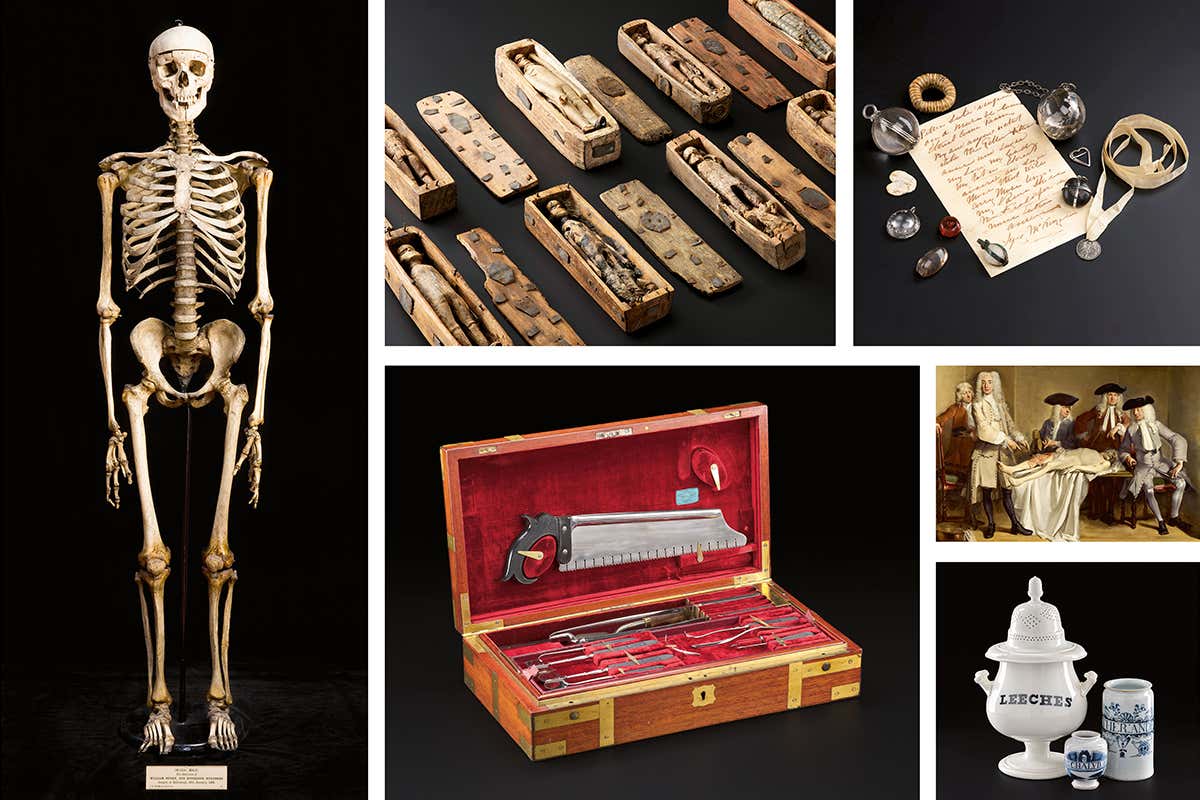 New Scientist. Science news and long reads from expert journalists, covering developments in science, technology, health and the environment on the website and the magazine.