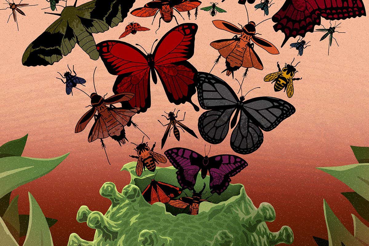 Historical plagues led to revolutions - could coronavirus do the same?