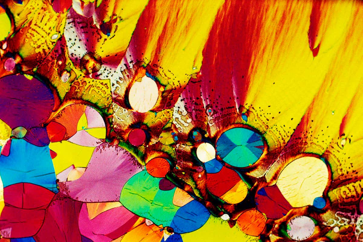 Polarised light micrograph of serotonin crystals