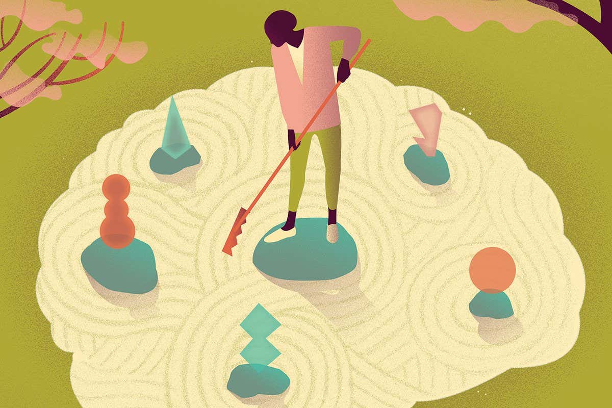 What lab-grown 'mini-brains' are revealing about this mysterious organ