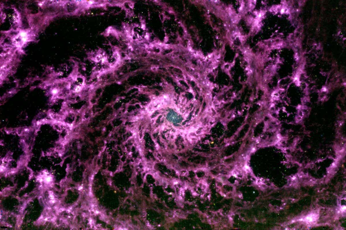 Purple spiral