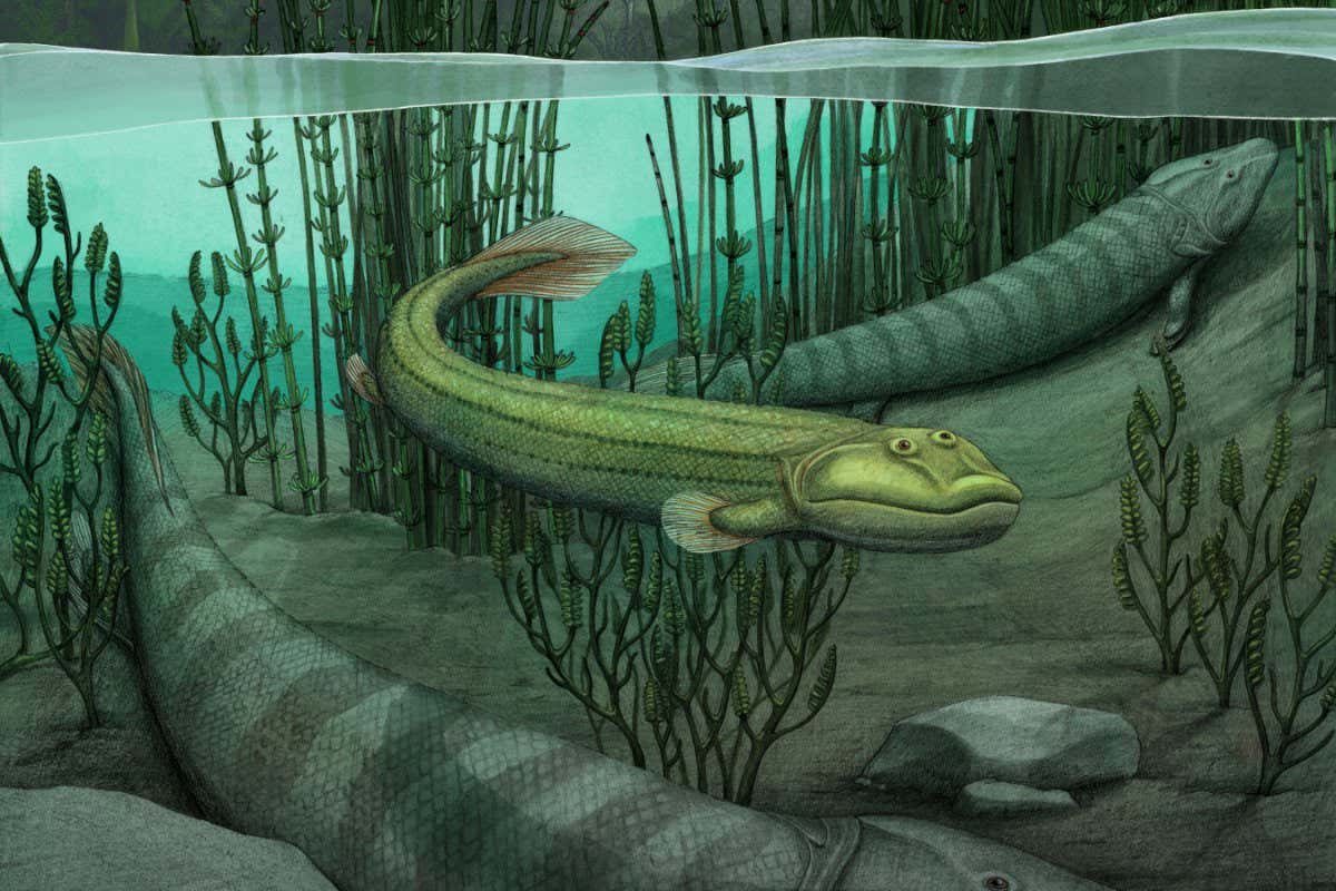 Illustration of Qikiqtania wakei in the water