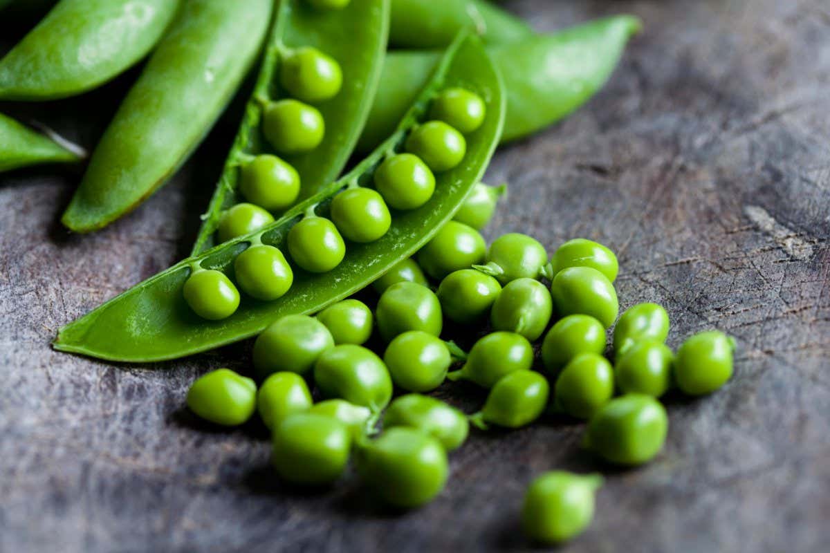 E6BAMW Green peas