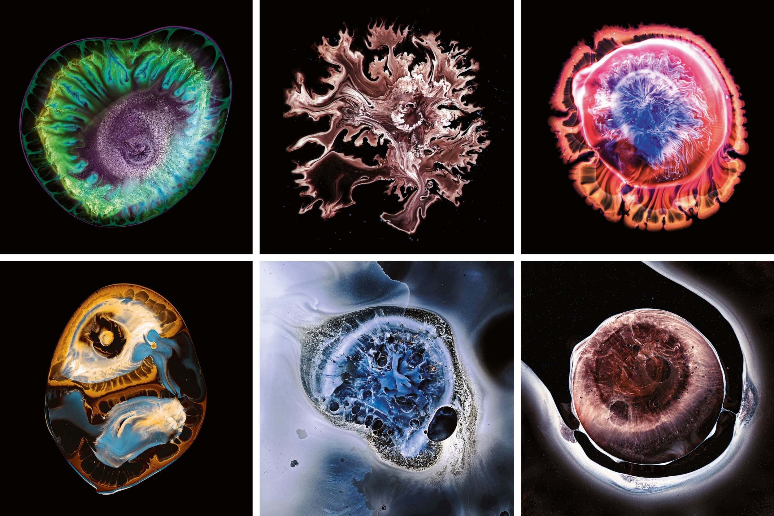 New Scientist. Science news and long reads from expert journalists, covering developments in science, technology, health and the environment on the website and the magazine.