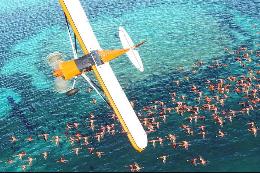 Microsoft Flight Simulator