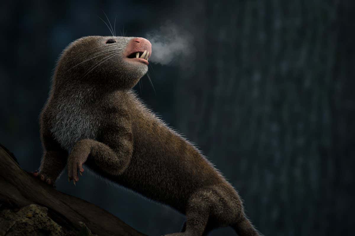 Illustration of a warm-blooded ancestor of mammals