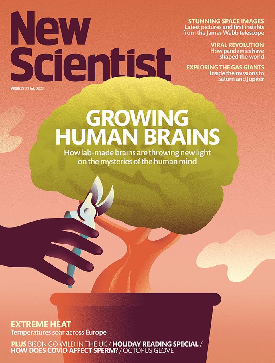 New Scientist issue 3396 cover