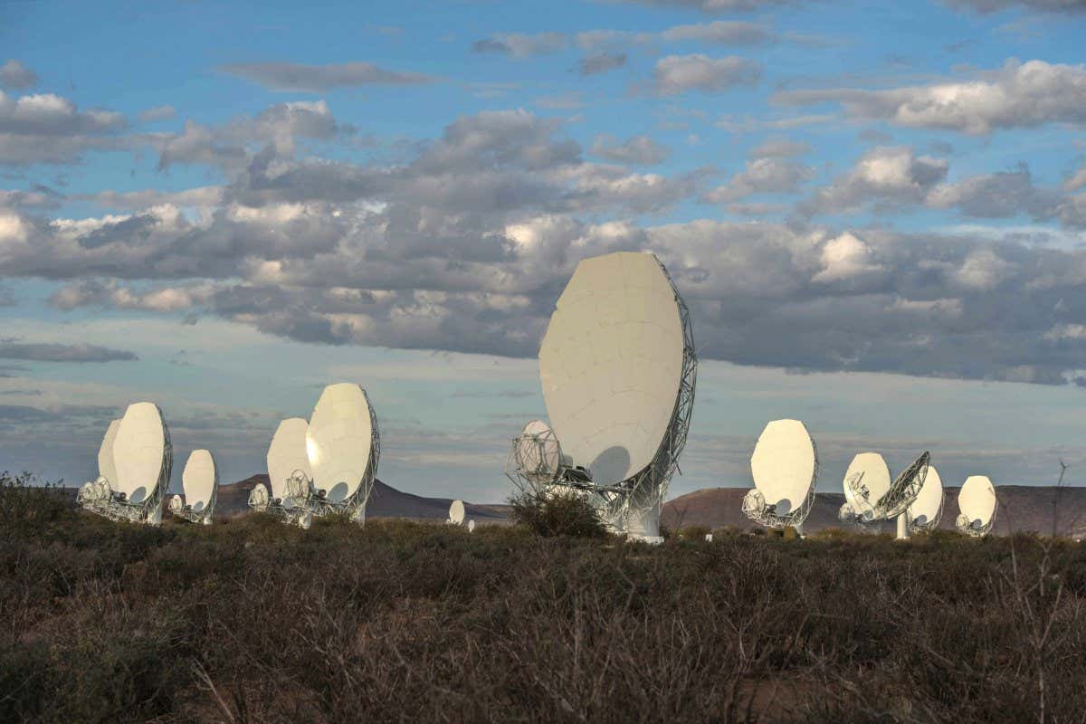 A radio telescope array