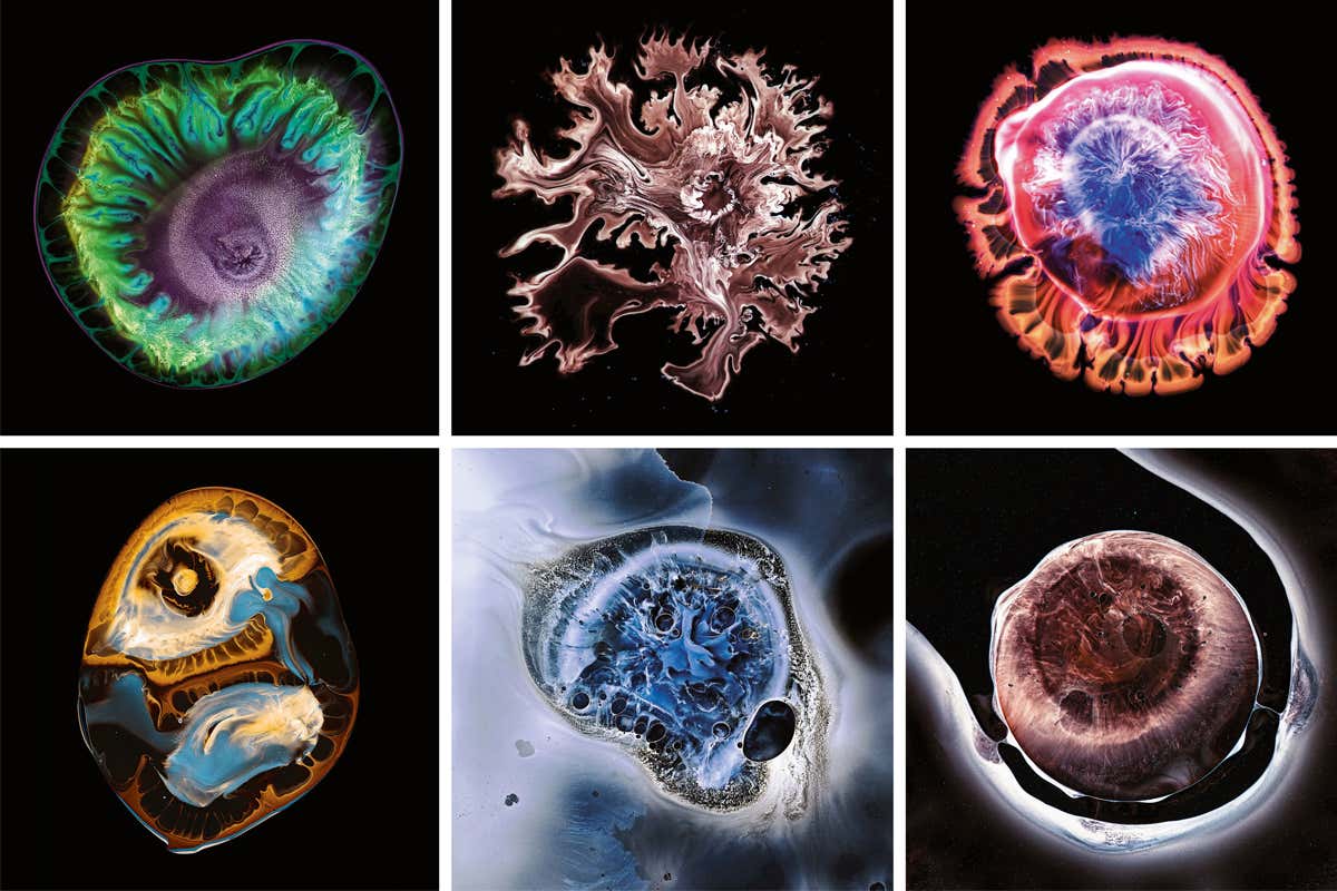 Cameraless photography creates lockdown 'supernovae' at home