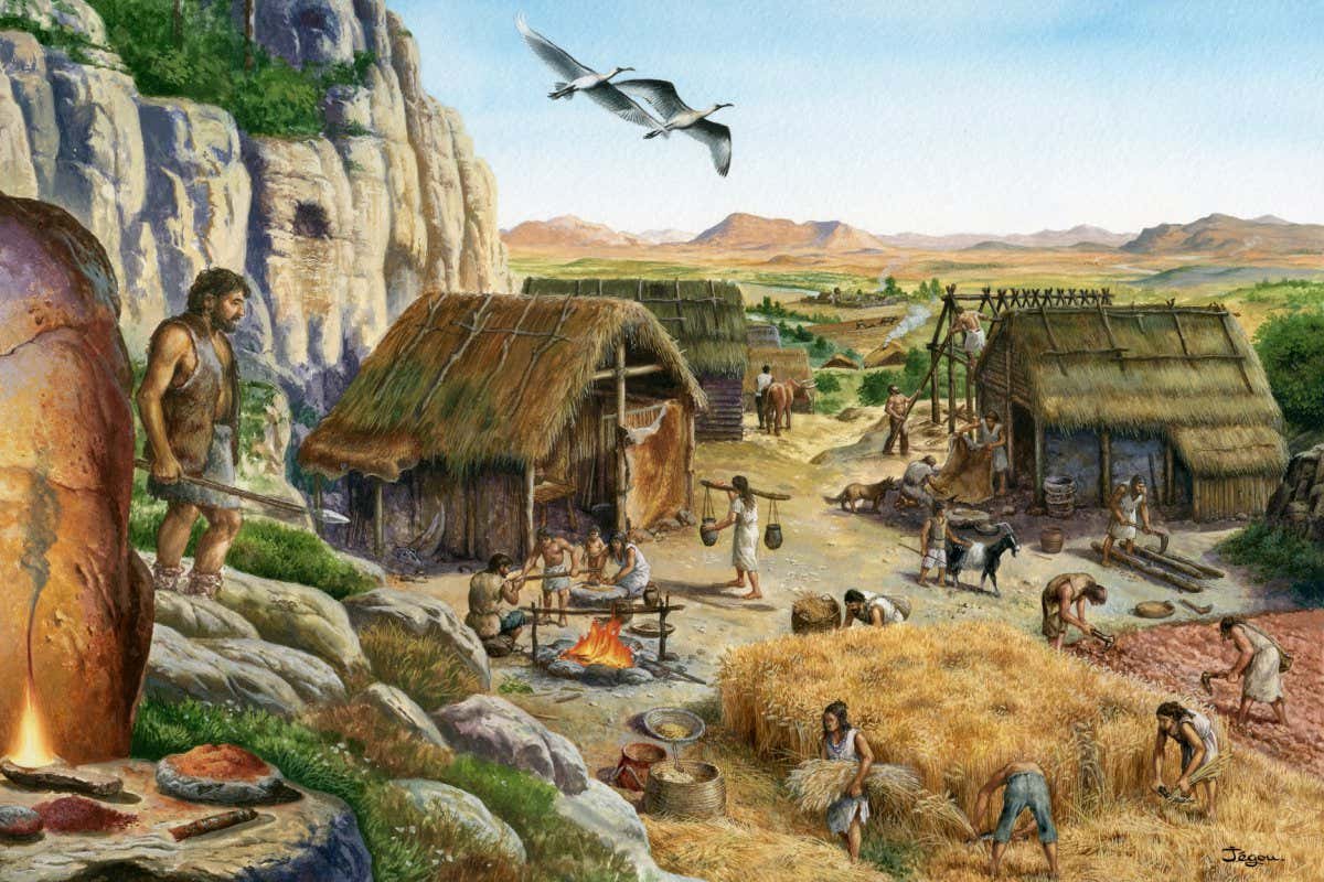 Illustration of a Neolithic farming village